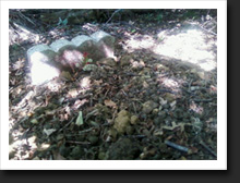 Sandy's Grave